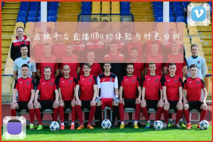 龙珠平台直播nba的体验与特色分析